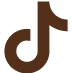 TikTok Icon