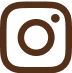 Instagram Icon