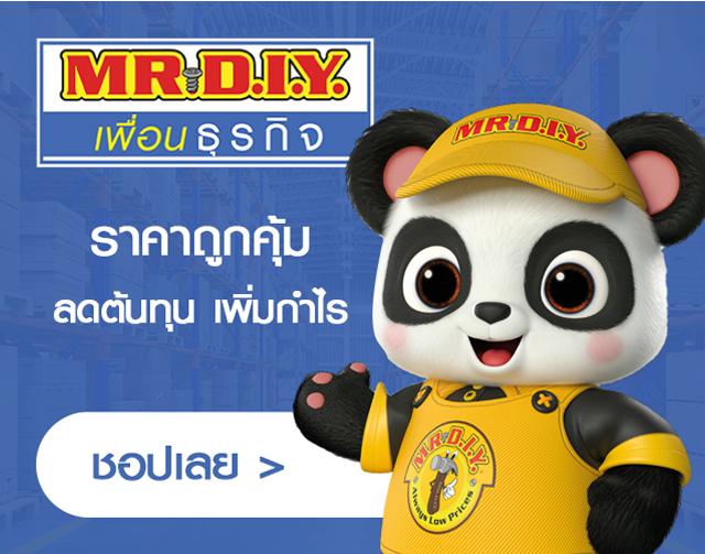 Mr.DIY Banner